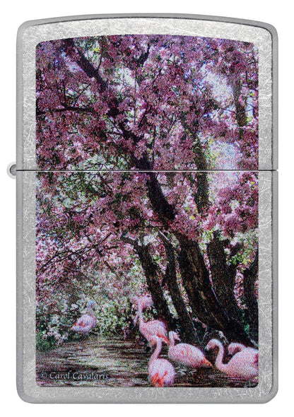 Zippo Carol Cavalaris Flamingo Lagoon Design Street Chrome Windproof Lighter