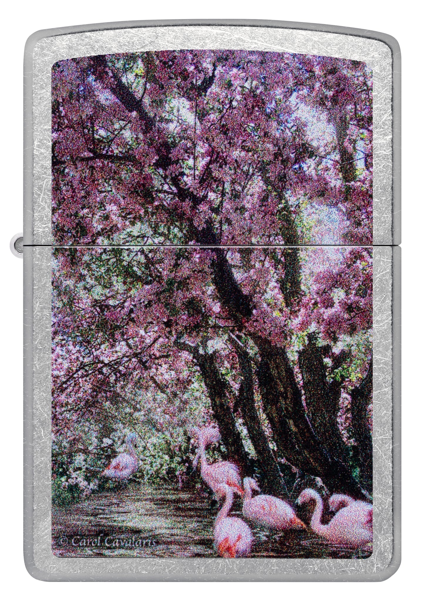 Zippo Carol Cavalaris Flamingo Lagoon Design Street Chrome Windproof Lighter