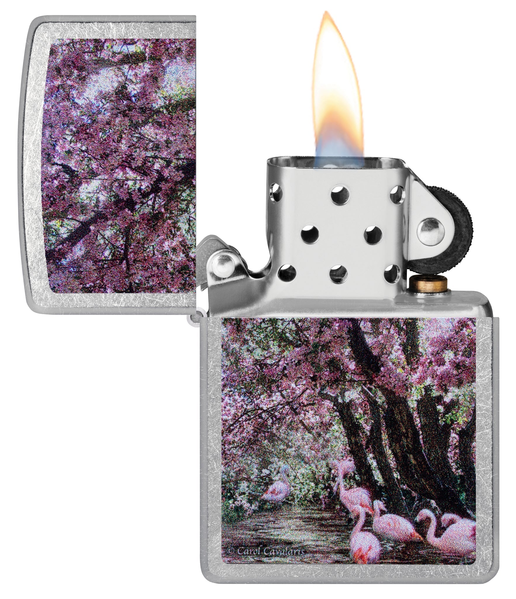 Zippo Carol Cavalaris Flamingo Lagoon Design Street Chrome Windproof Lighter