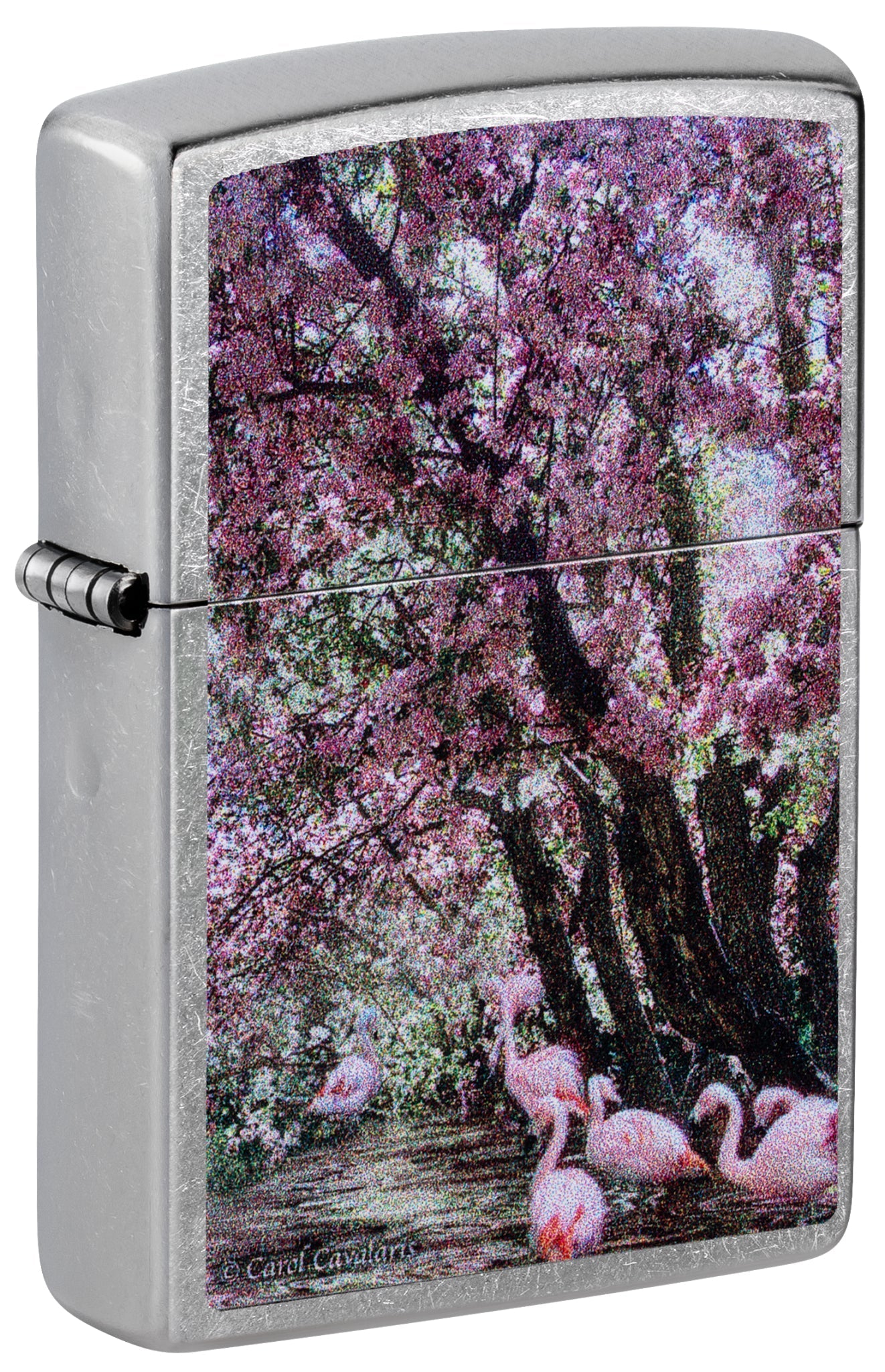 Zippo Carol Cavalaris Flamingo Lagoon Design Street Chrome Windproof Lighter