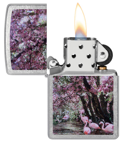 Zippo Carol Cavalaris Flamingo Lagoon Design Street Chrome Windproof Lighter