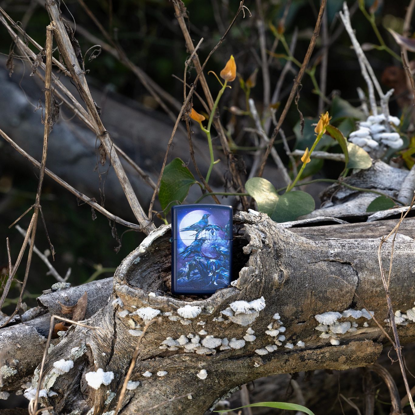 Zippo Carol Cavalaris Raven Dreams Design Blue Matte Windproof Lighter
